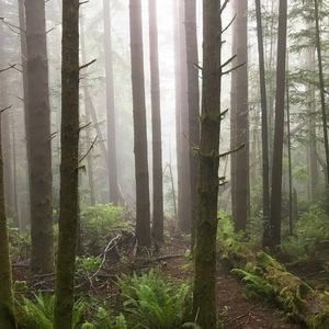 Meet your Posher, Muhammad